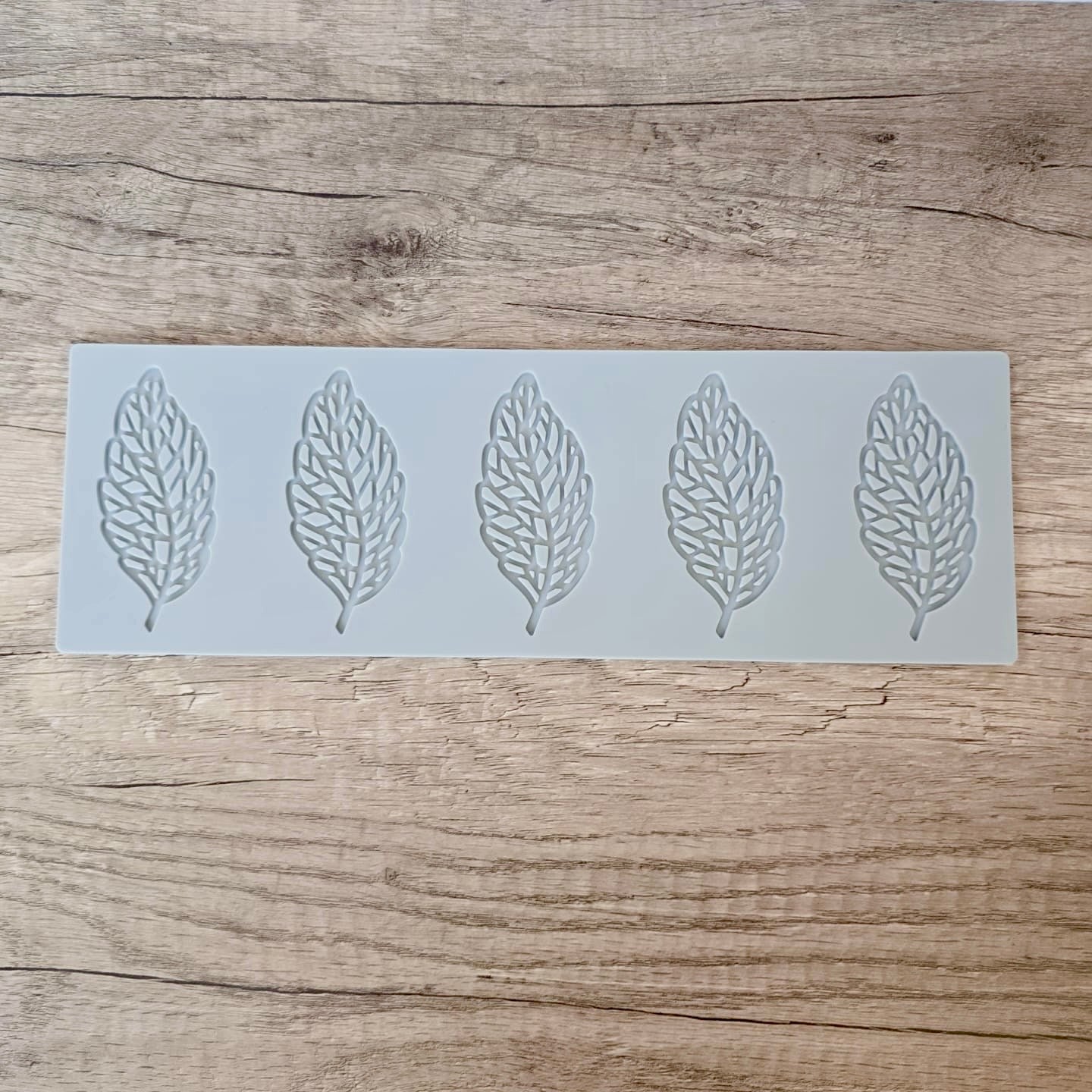 裝飾薄脆片矽膠模具 Tuille Silicone Mould - Leaf