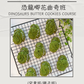 恐龍唧花曲奇班 (兒童班) Dinosaurs Butter Cookies Course (Baking Class for Kids)