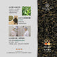 台灣舞間茶心桂花包種茶粉 (50克) Dancing Tea Osmanthus Pao Chong Tea Powder (50g)