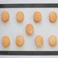 日本直送Cotta可重用透氣烘焙墊 (24x36cm) Cotta Reusable Baking Mat (24x36cm)